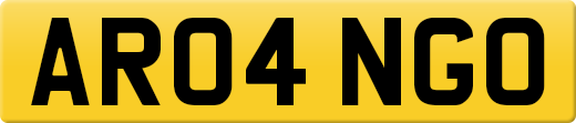 AR04NGO